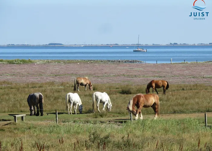 Haus Achterhus 213 - 13 